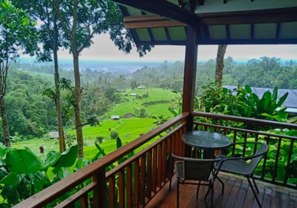 Village Above The Clouds image 14