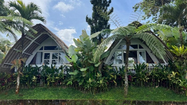 Village Above The Clouds image 22